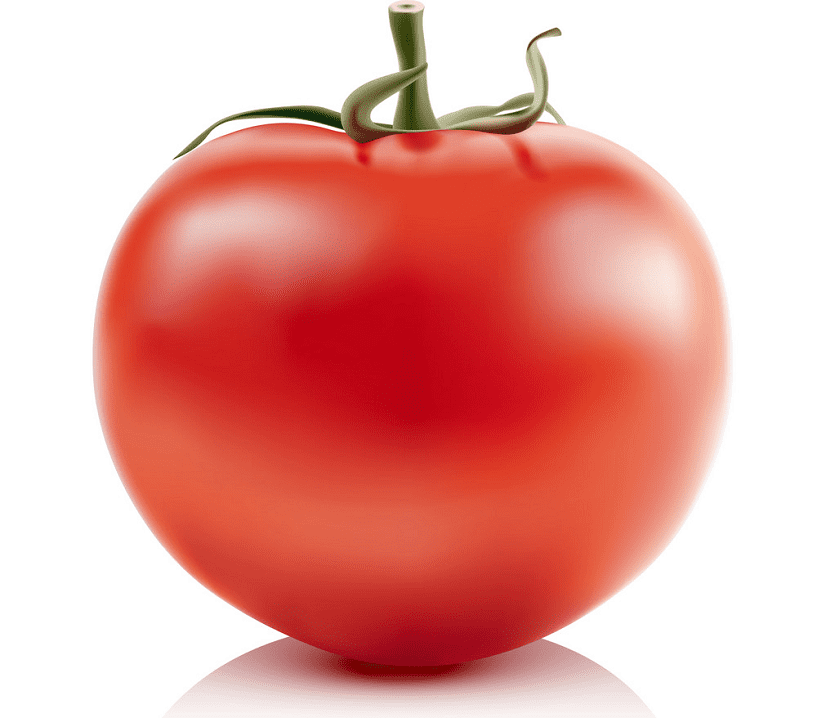 トマトのイラストpng画像 イラスト