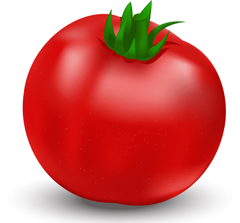 トマトのイラスト PNG イメージ イラスト