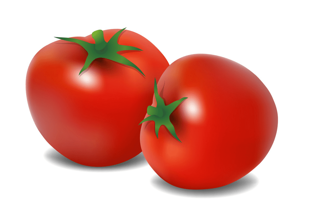 トマトのイラストpng イラスト