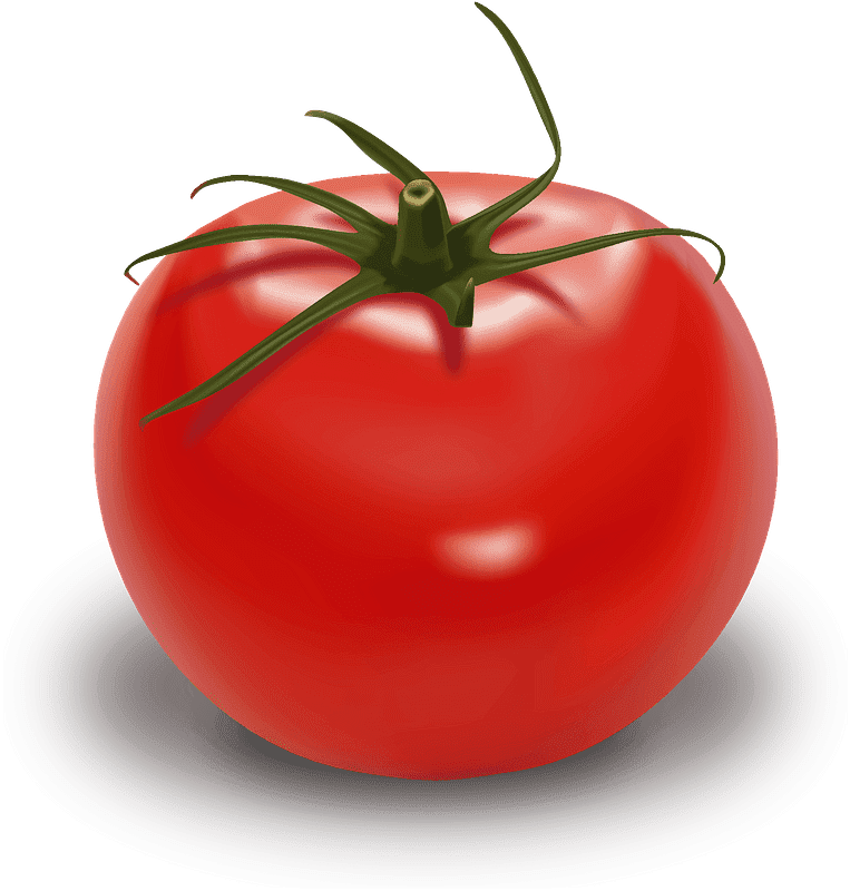 トマトのイラスト透明7 イラスト