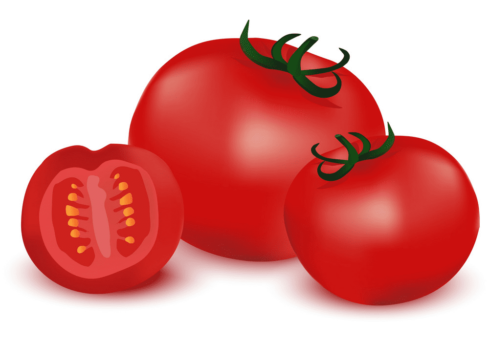 トマトのイラスト イラスト