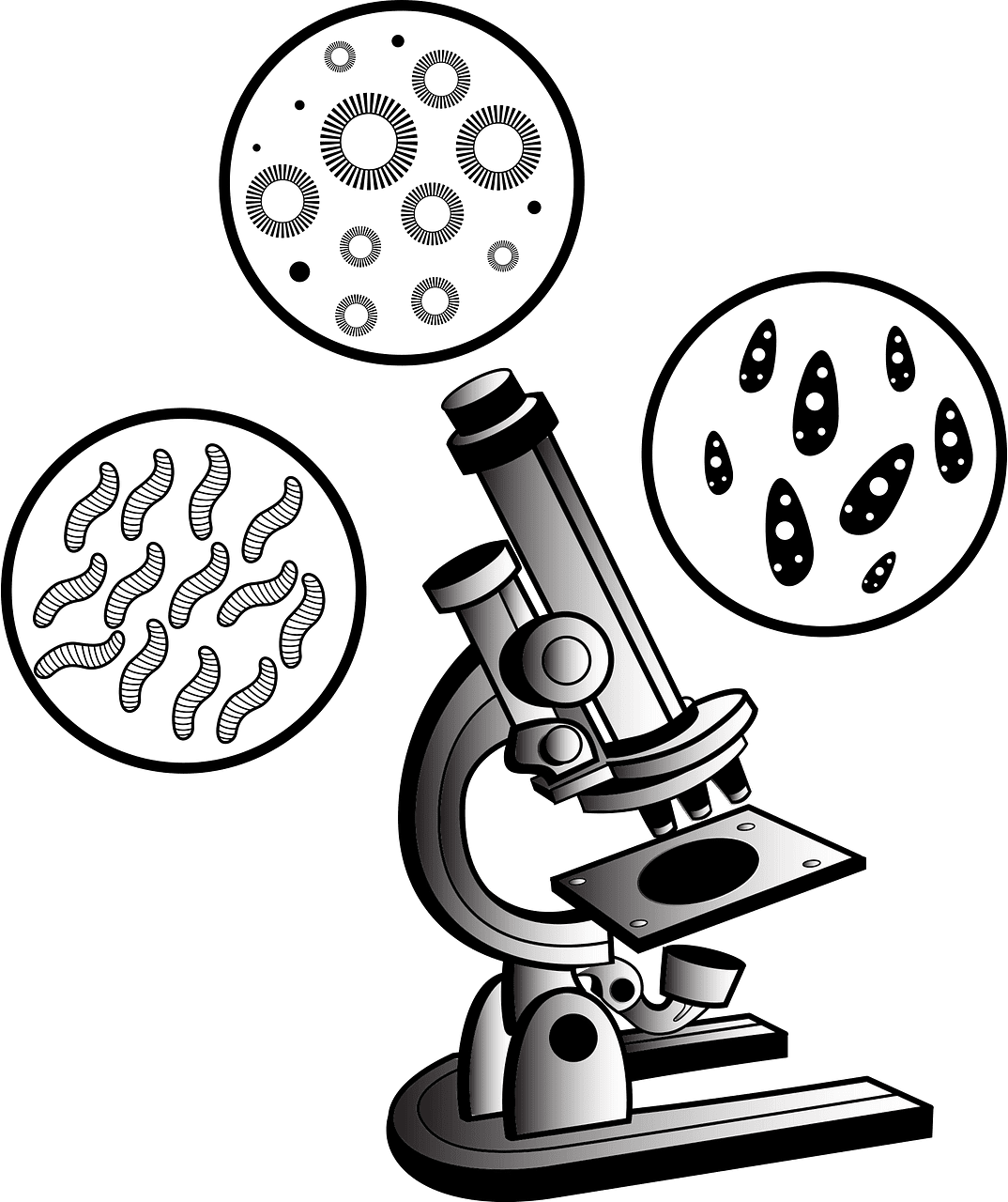 子供向けの透明な顕微鏡のイラスト 2
