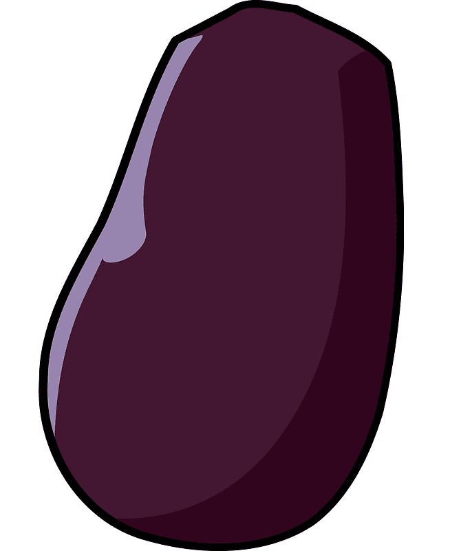 Eggplant Illustration picture
