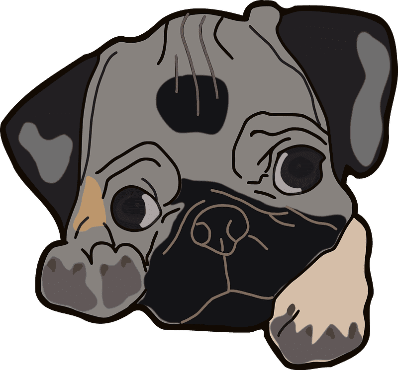 Pug Illustration transparent picture