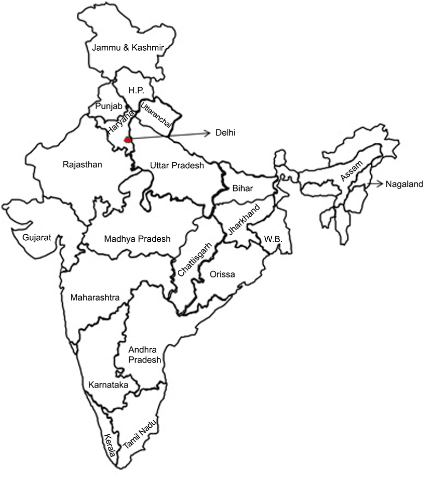 インド地図の白黒イラストPNG 無料 イラスト