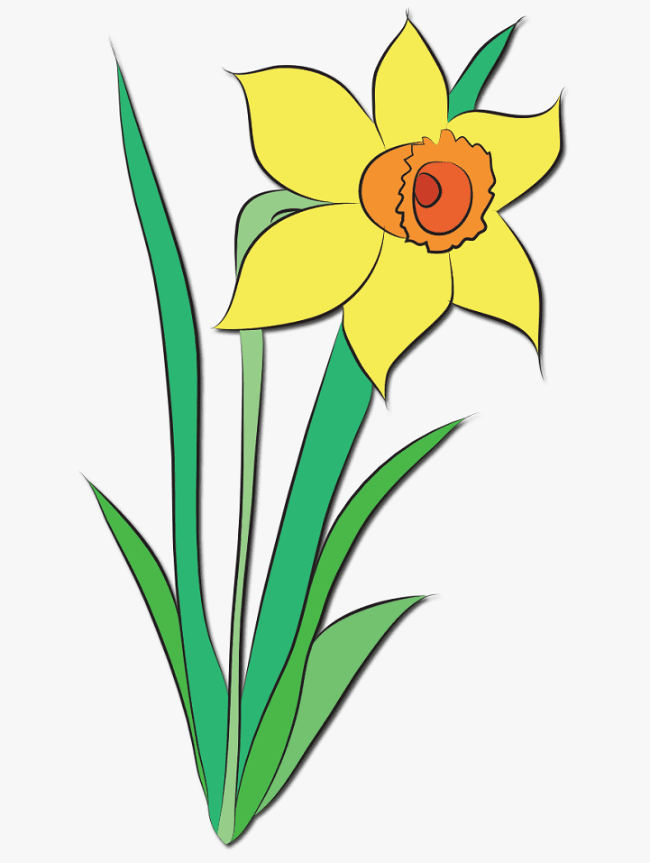 水仙の花のイラストPNG画像