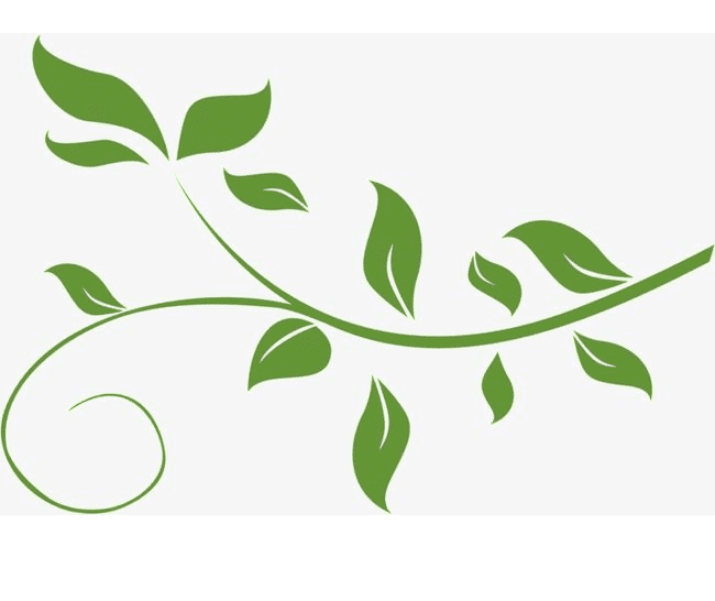 無料のつる植物のイラスト画像 2 イラスト