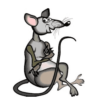 Bad Rat Illustration