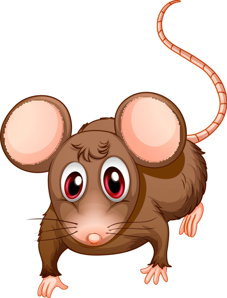 Brown Rat Illustration