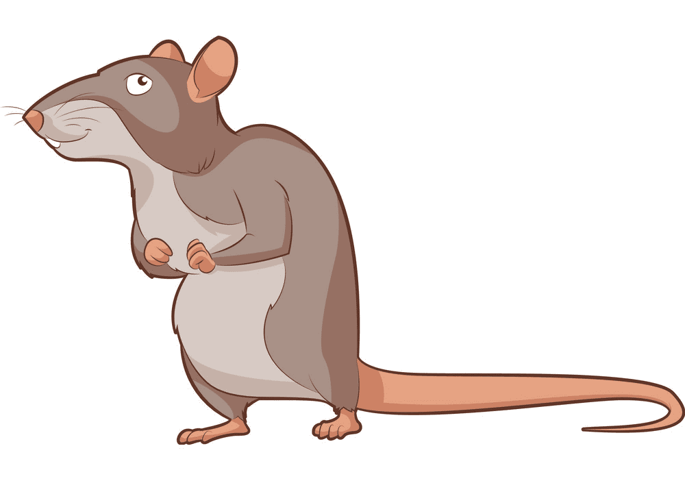 Cartoon Rat Illustration Free