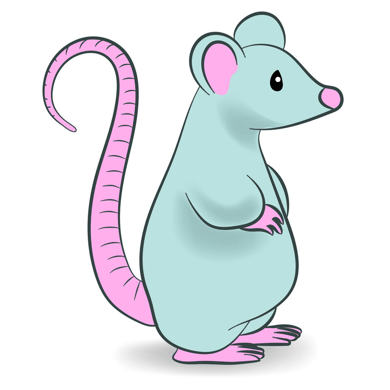 Free Illustration Rat