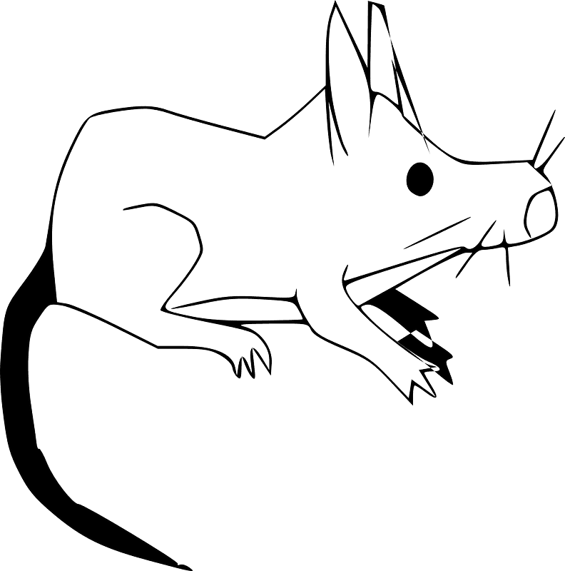 Free Rat Illustration Black and White