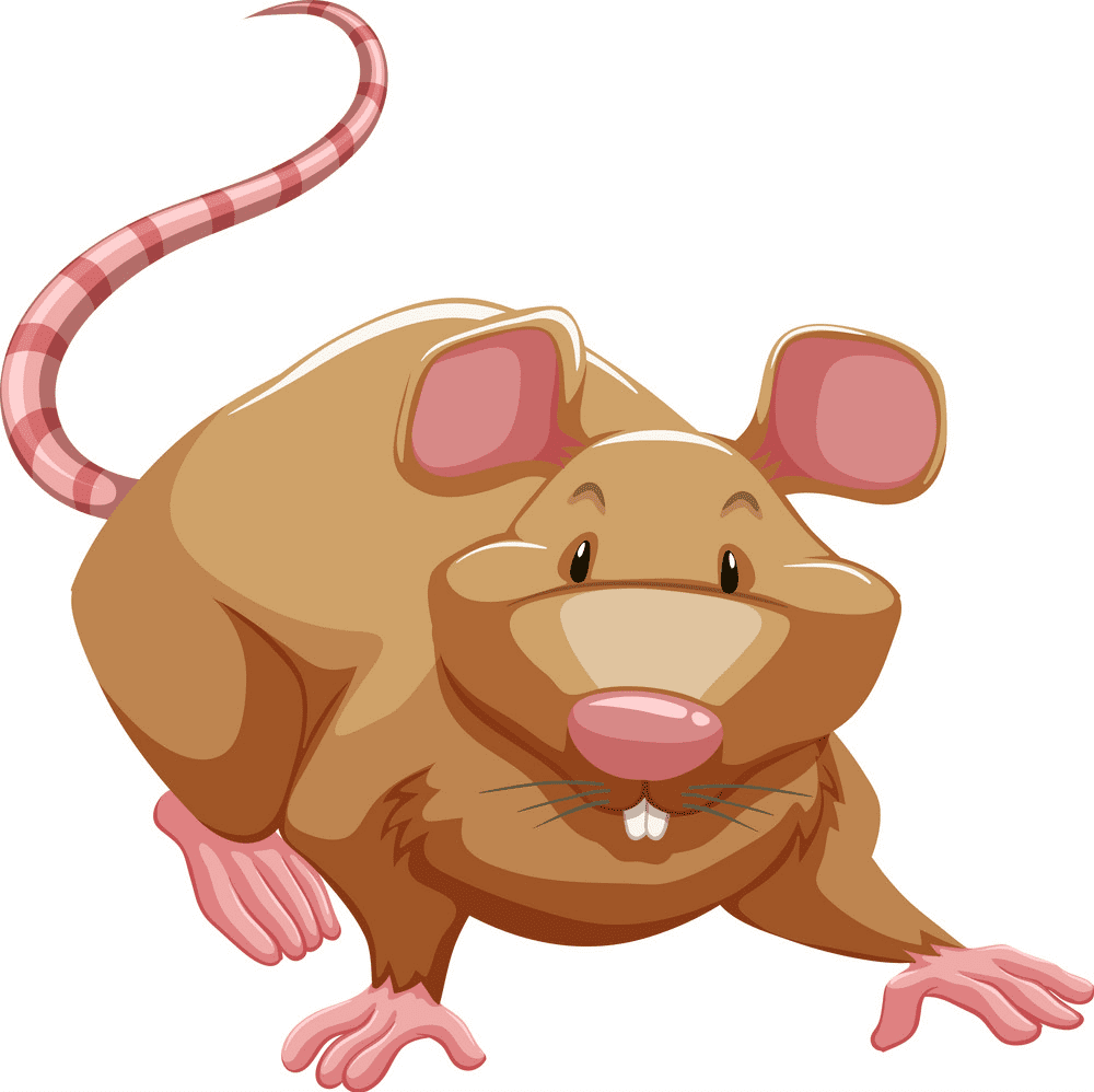 Free Rat Illustration Png