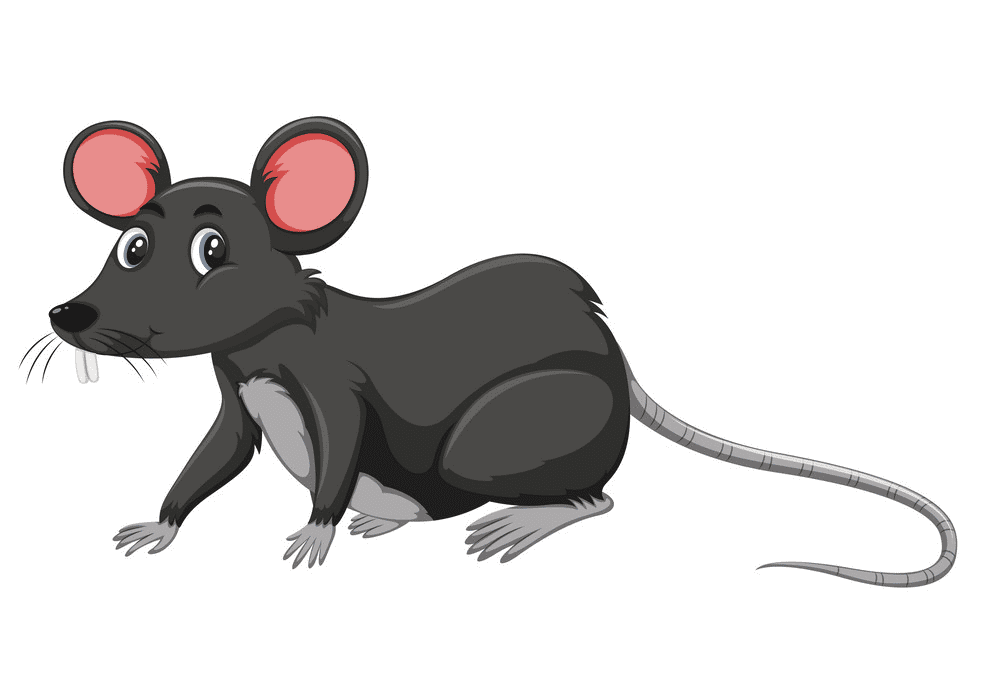 Free Rat Illustration