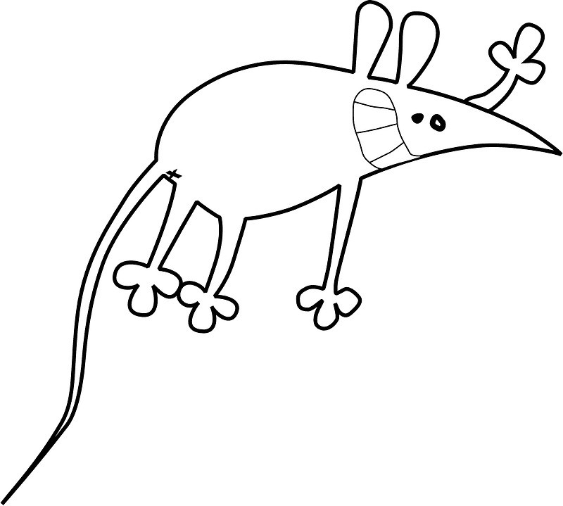 Funny Rat Illustration Black and White