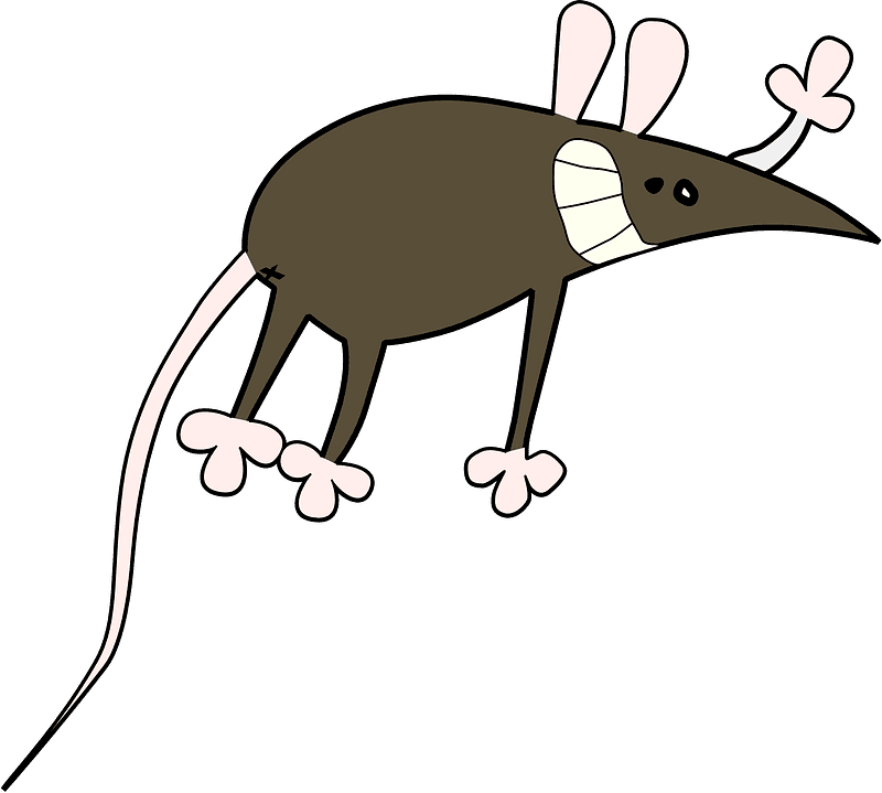 Funny Rat Illustration Transparent