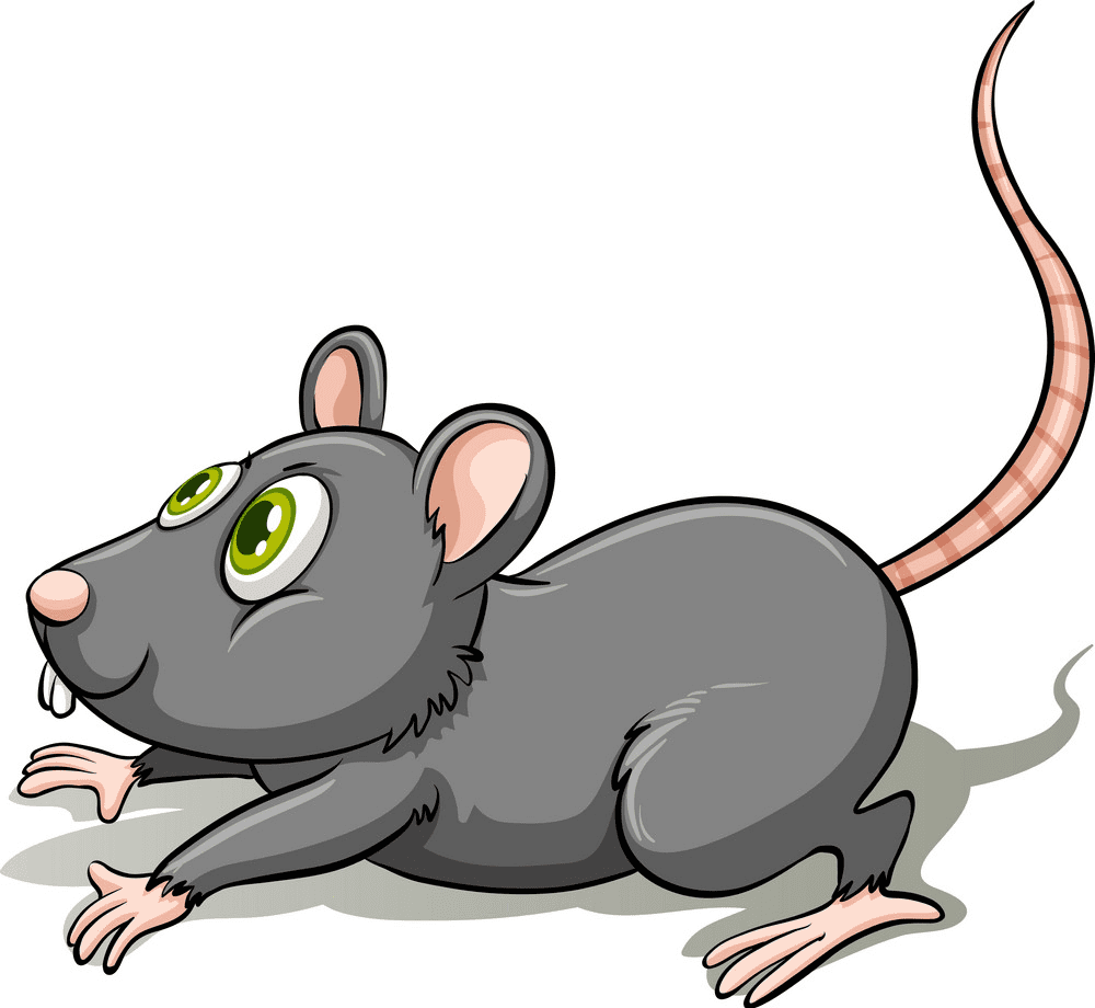 Gray Rat Illustration