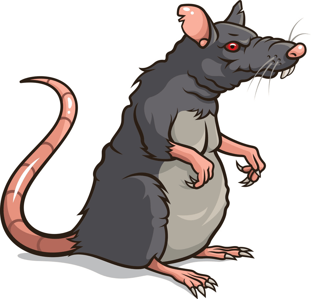 Illustration Rat