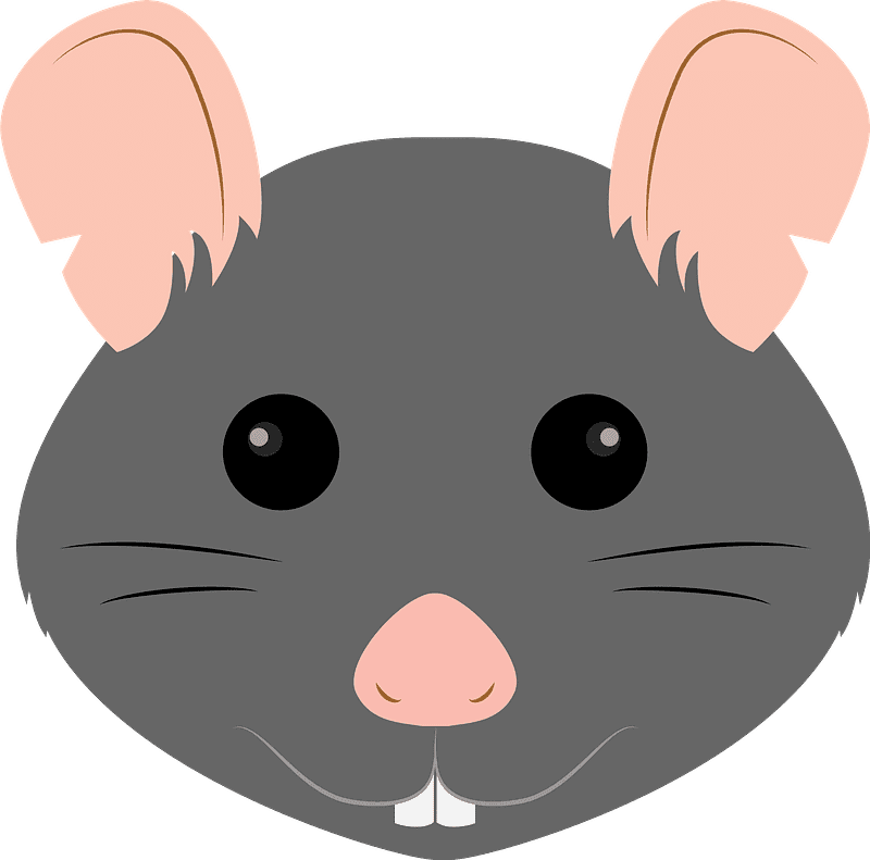 Rat Face Illustration Transparent