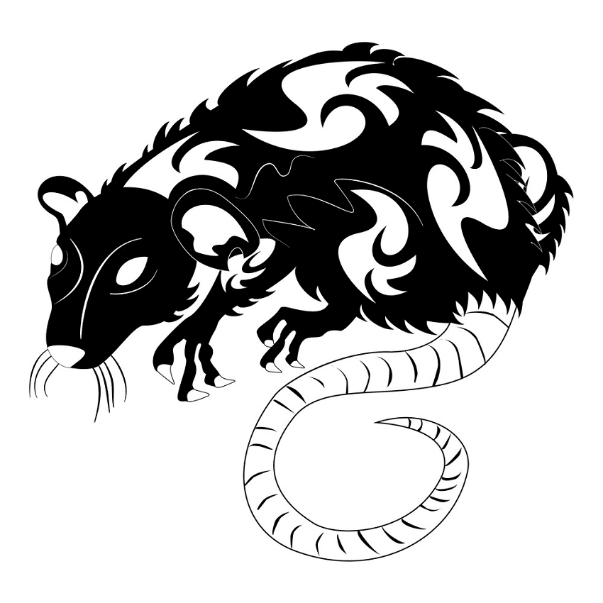 Rat Illustration Black and White