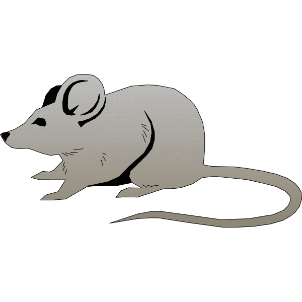 Rat Illustration Download