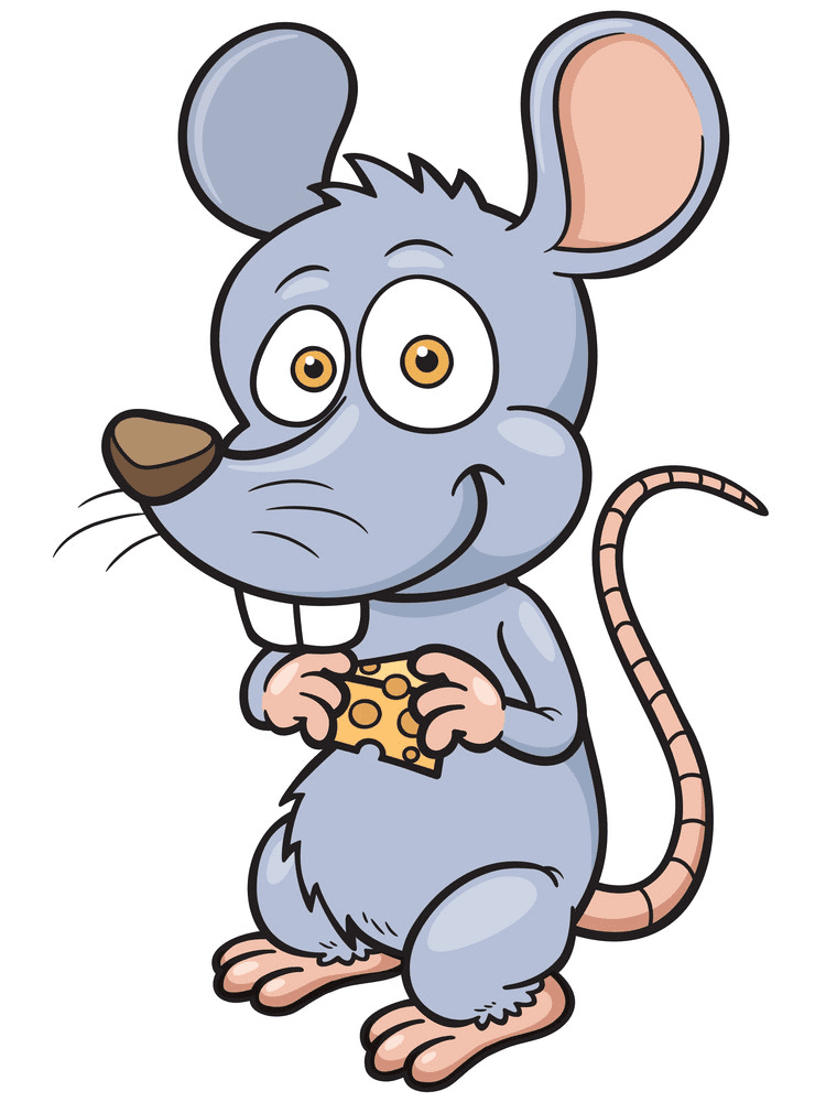 Rat Illustration Free Download