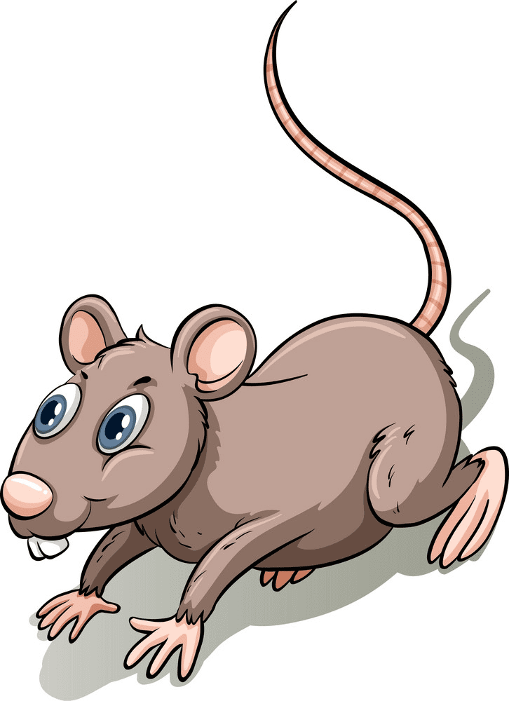 Rat Illustration Free Pictures