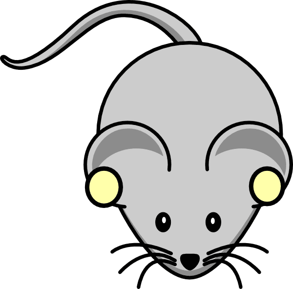 Rat Illustration Picture