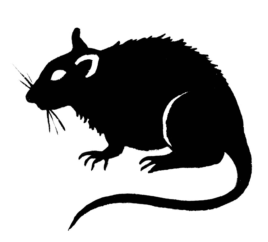 Rat Illustration Png Free