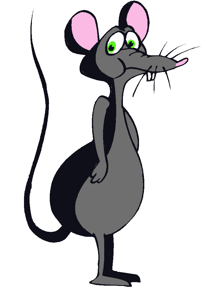 Rat Illustration Png Image