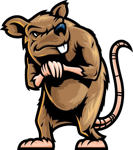 Rat Illustration Png Images