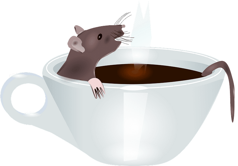 Rat Illustration Transparent Background