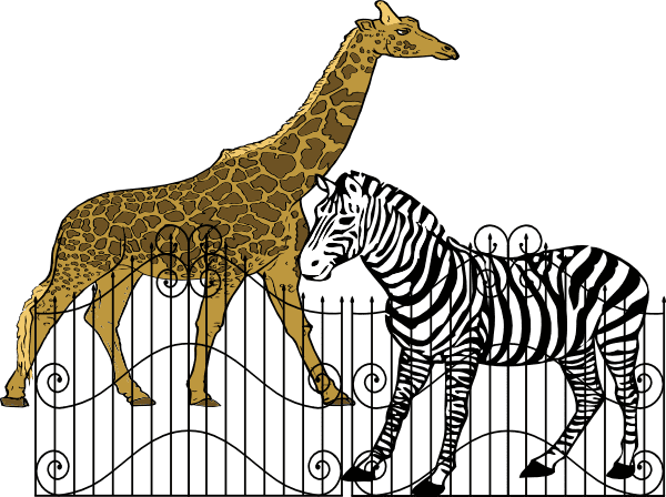 動物園の動物のイラスト PNG 2 イラスト