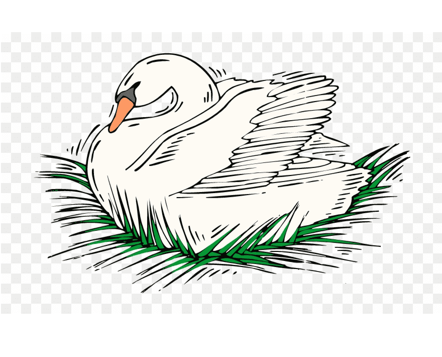 白鳥のイラスト 無料 PNG 画像 2 イラスト