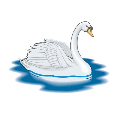 白鳥のイラストPng イラスト