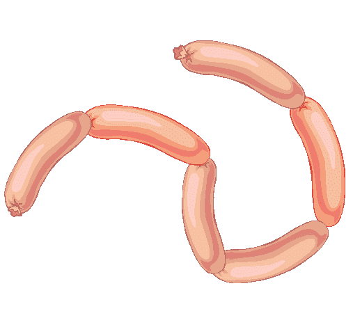 Sausages Illustration