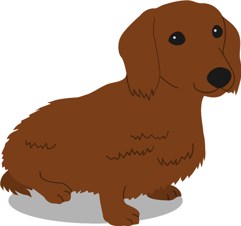 Cute Dachshund Illustration Transparent