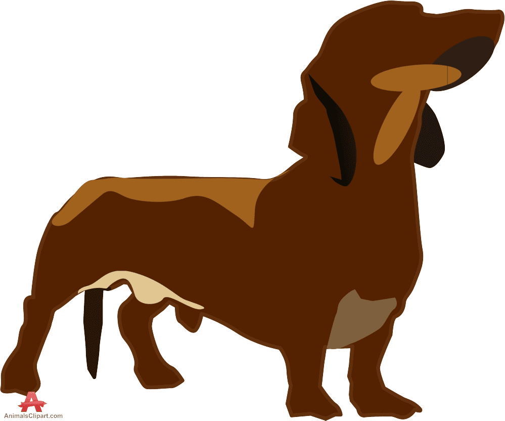 Dachshund Illustration Pictures