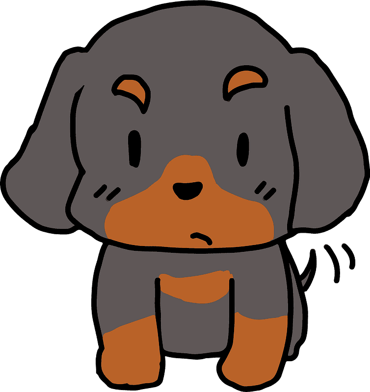 Free Dachshund Illustration Transparent