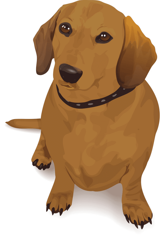 ダックスフント犬のイラストPNG