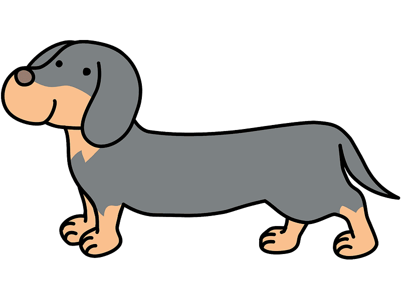 ダックスフント犬のイラスト 透明な背景 イラスト