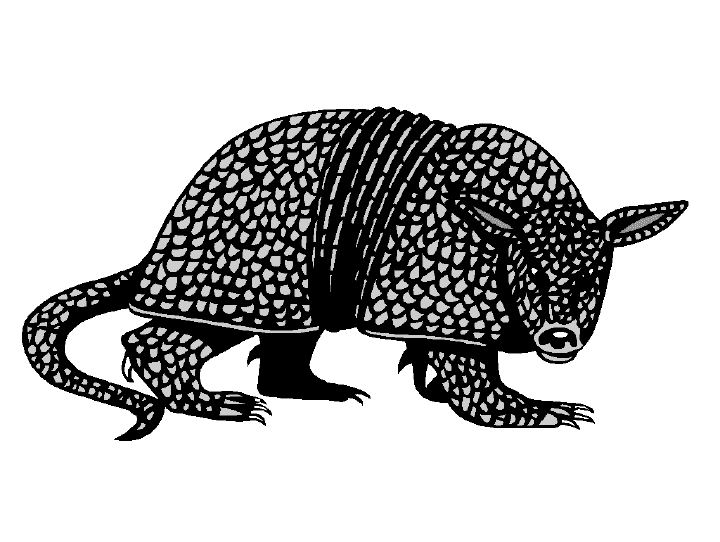 Armadillo Black and White Illustration