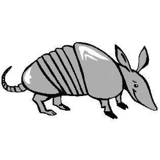 Armadillo Illustration Free