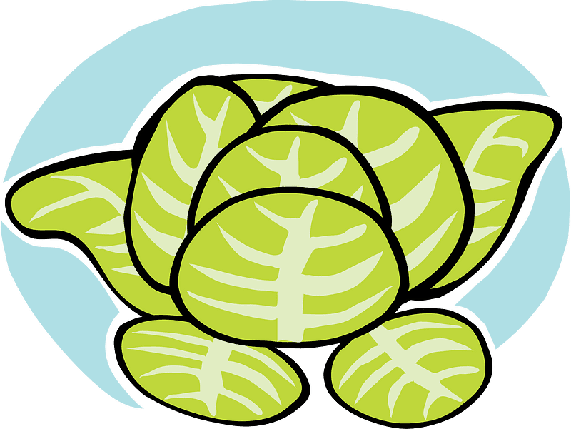 Download Lettuce Transparent Illustration