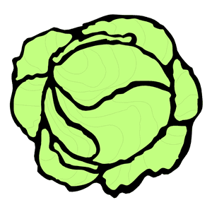 Lettuce Illustration Png Picture