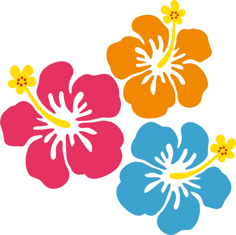 ハイビスカスの花のイラスト 2 イラスト