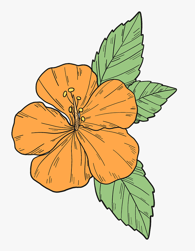 ハイビスカスの花のイラスト 無料 2 イラスト