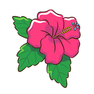 ハイビスカスの花のイラスト無料 イラスト
