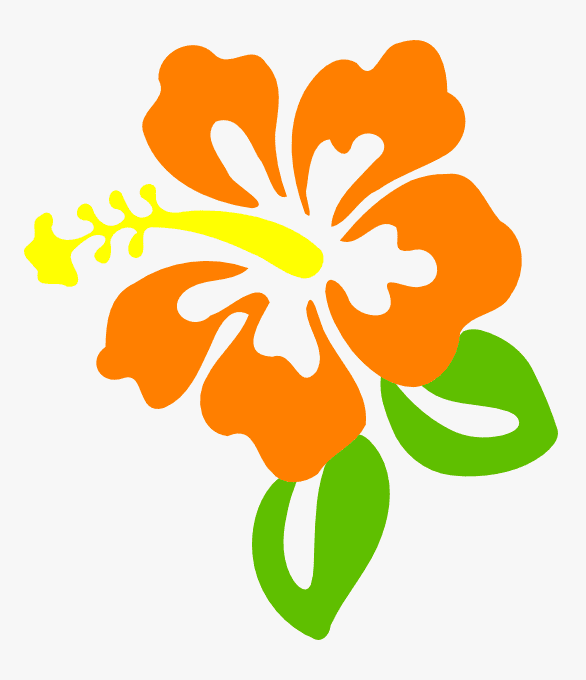 ハイビスカスの花のイラスト PNG 画像 イラスト