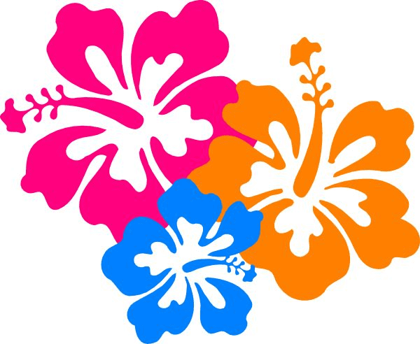 ハイビスカスの花のイラスト PNG イメージ イラスト